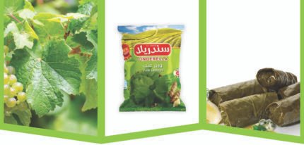 ورق العنب